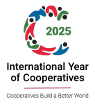 international year